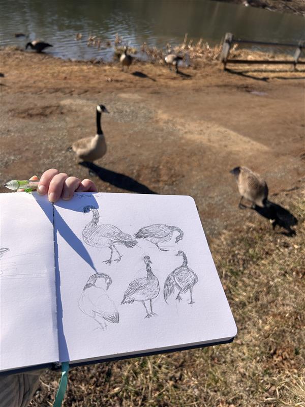 Art at the Farm