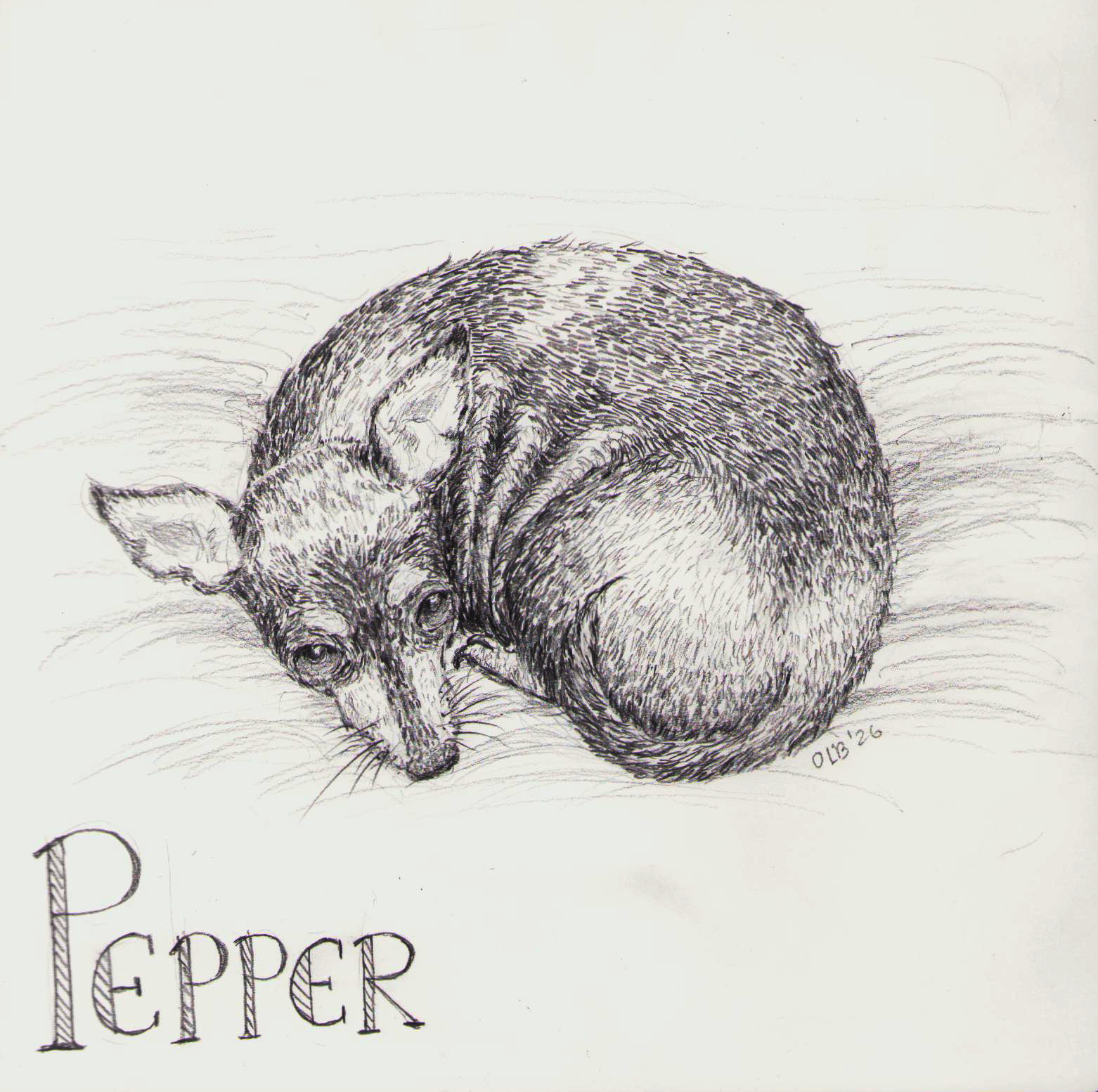 ‘Cause you’ve got personality: refined animal sketches